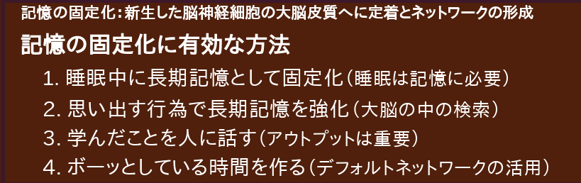 海馬脳細胞新生