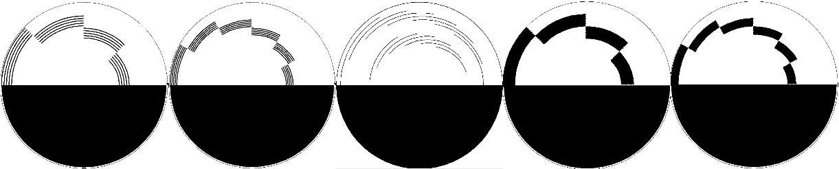 ベンハムの円盤
